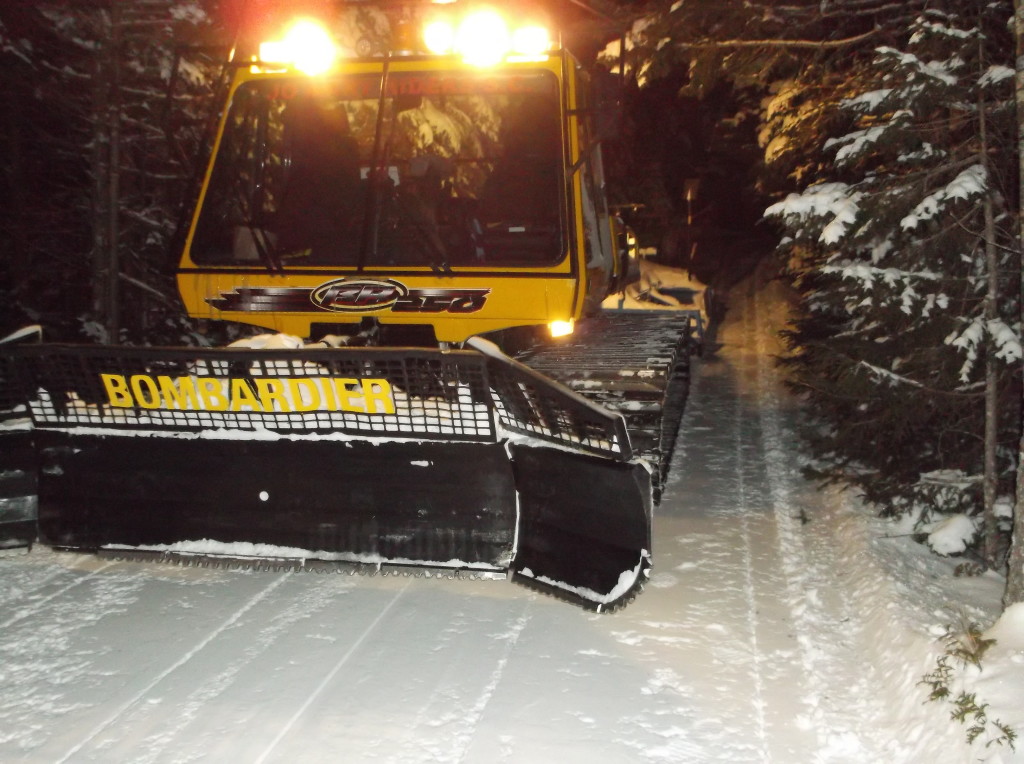 Jo Mary Trail Grooming at night