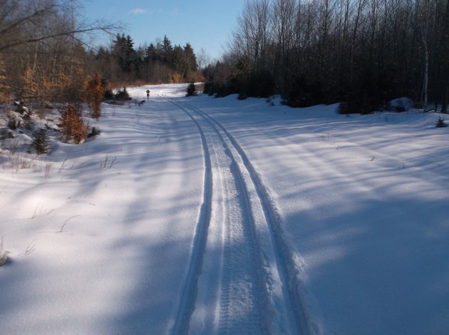 JoMary snowmobile trail with fresh snow