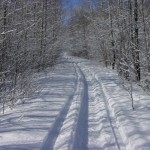 Off-trail riding after snowstorm